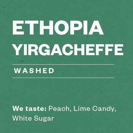 Ethopia Yirgacheffe Danche