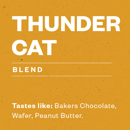 Photo of Thunder Cat