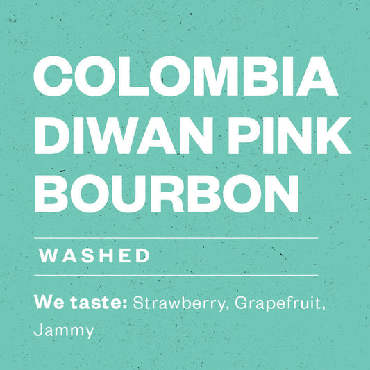 Colombia Diwan Pink Bourbon