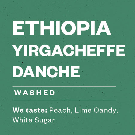 Ethiopia Yirgacheffe Danche
