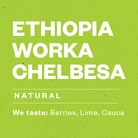 Ethiopia Worka Chelbesa