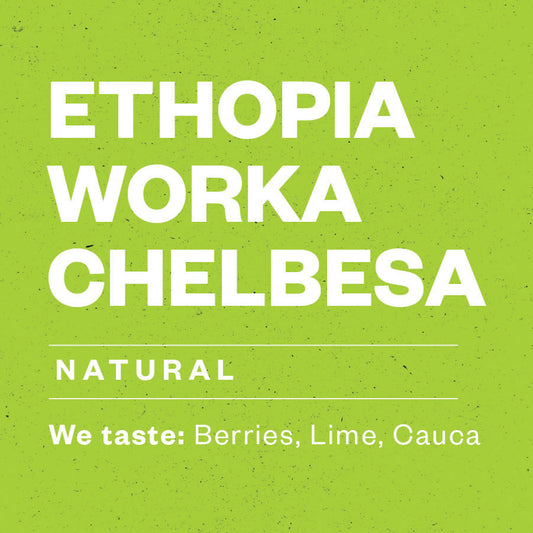Ethiopia Worka Chelbesa