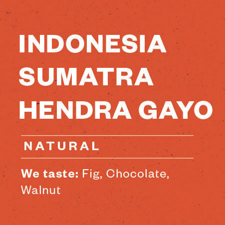 Sumatra Hendra Gayo